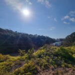 対象物件からの眺望